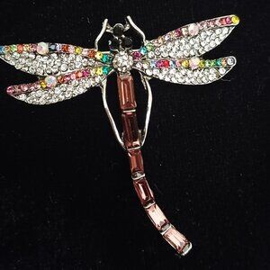 Gorgeous Multi-Colored Dragon Fly